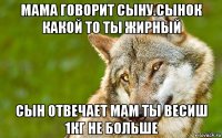 мама говорит сыну.сынок какой то ты жирный сын отвечает мам ты весиш 1кг не больше