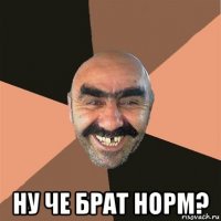  ну че брат норм?