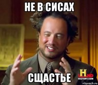 не в сисах сщастье