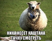  ника несет каштана тачку смотреть