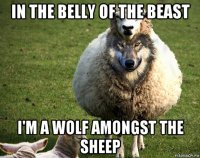 in the belly of the beast i'm a wolf amongst the sheep