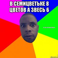 в семицветьке 8 цветов а звесь 6 