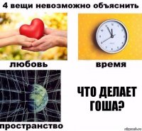 Что делает Гоша?