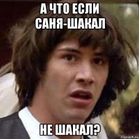 а что если саня-шакал не шакал?