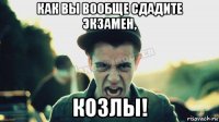 как вы вообще сдадите экзамен, козлы!