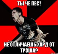 ты че пес! не отличаешь хард от трэша?