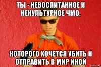 ты - невоспитанное и некультурное чмо, которого хочется убить и отправить в мир иной