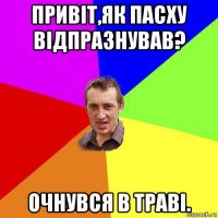 привіт,як пасху відпразнував? очнувся в траві.