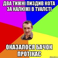 два тижні пиздив кота за калюжі в туалєті оказалося бачок протікає