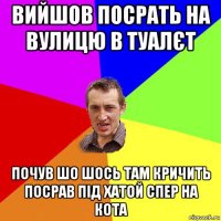 вийшов посрать на вулицю в туалєт почув шо шось там кричить посрав під хатой спер на кота