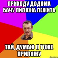 приходу додома бачу пилюка лежить тай, думаю я тоже приляжу