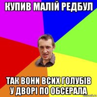 купив малій редбул так вони всих голубів у дворі по обсерала