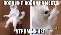 положил носки на место утром их нет