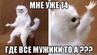 мне уже 14 где все мужики то а ???