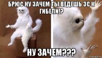 брюс ну зачем ты ведешь зс к гибели!? ну зачем???