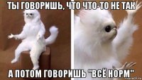 ты говоришь, что что-то не так а потом говоришь "всё норм"