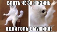 блять чё за жизинь одни голые мужики!