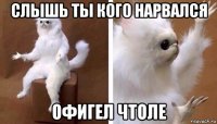 слышь ты кого нарвался офигел чтоле