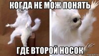 когда не мож понять где второй носок