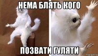 нема блять кого позвати гуляти