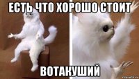 есть что хорошо стоит вотакуший