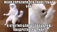 меня спрасили:что такое губка боб я ответил:блять это ебало в квадратных штнах