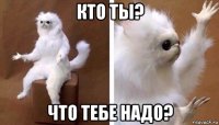 кто ты? что тебе надо?