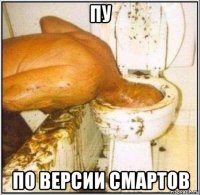 пу по версии смартов