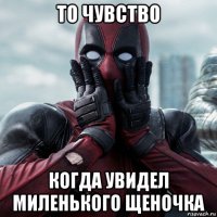 то чувство когда увидел миленького щеночка