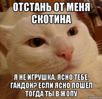 отстань от меня скотина я не игрушка. ясно тебе, гандон? если ясно пошел тогда ты в жопу