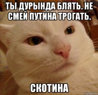 ты дурында блять. не смей путина трогать. скотина