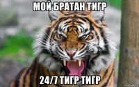 мой братан тигр 24/7 тигр тигр