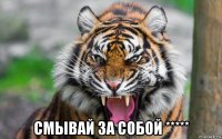  смывай за собой *****