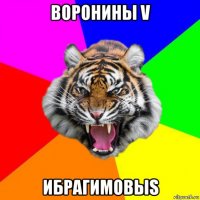 воронины v ибрагимовыs