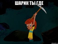 шарик ты где 