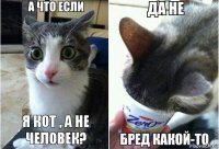 я кот , а не человек?