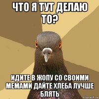 что я тут делаю то? идите в жопу со своими мемами дайте хлеба лучше блять