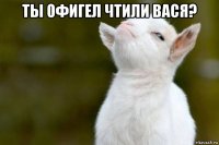 ты офигел чтили вася? 