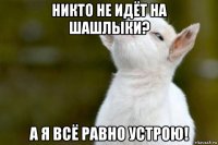 никто не идёт на шашлыки? а я всё равно устрою!