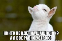  никто не идёт на шашлыки? а я всё равно устрою!