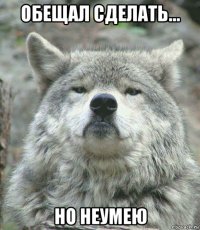 обещал сделать... но неумею