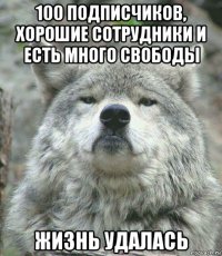 100 подписчиков, хорошие сотрудники и есть много свободы жизнь удалась