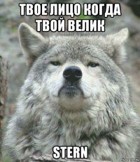 твое лицо когда твой велик stern