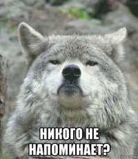  никого не напоминает?