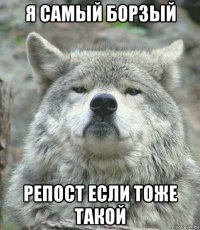 я самый борзый репост если тоже такой