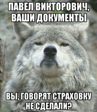 павел викторович, ваши документы вы, говорят страховку не сделали?