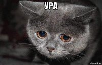 ура 