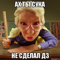 ах ты сука не сделал дз