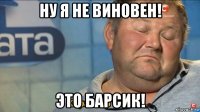 ну я не виновен! это барсик!