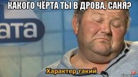 какого чёрта ты в дрова, саня? 